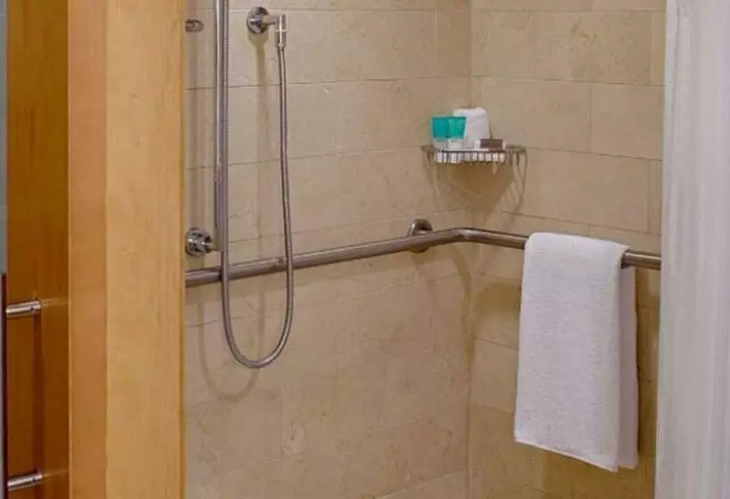 اتاق استاندارد با تخت بزرگ, Hyatt Regency Santa Clara