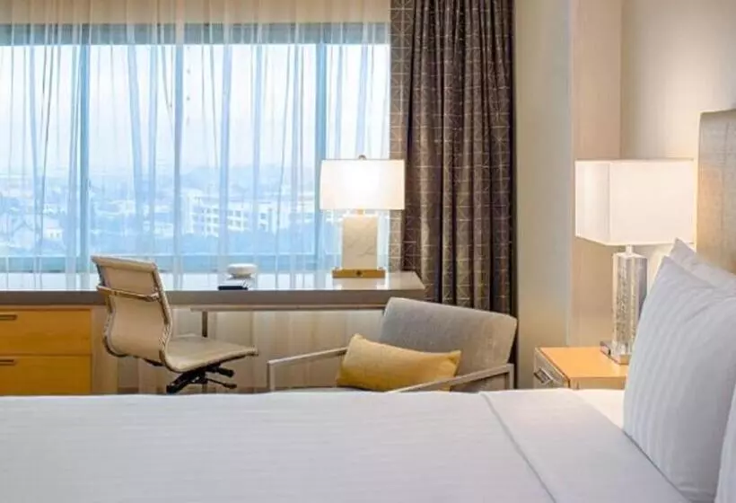 اتاق استاندارد با تخت بزرگ, Hyatt Regency Santa Clara