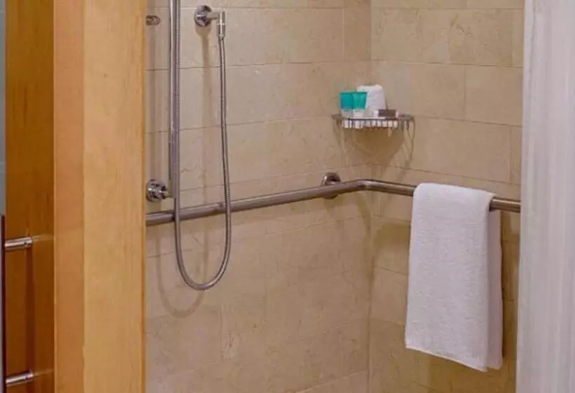 اتاق استاندارد با تخت بزرگ برای معلولان, Hyatt Regency Santa Clara