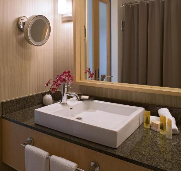 Президентский Люкс, Hyatt Regency Santa Clara