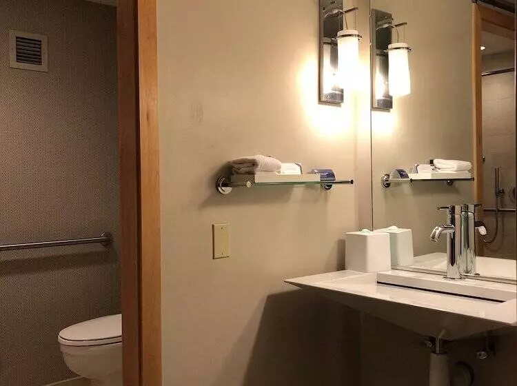 سوییت اجرایی, Hyatt Regency Santa Clara