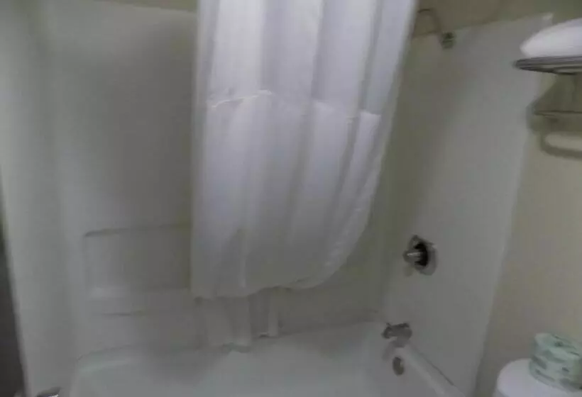 Standard-huone King-vuode, Quality Inn Dfw Airport North