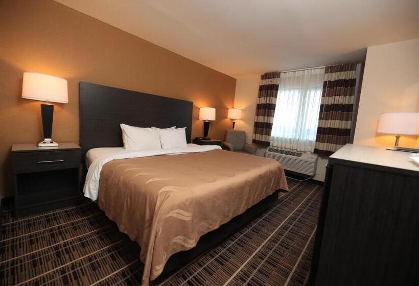 Standard Szoba King Size Bed, Quality Inn Dfw Airport North