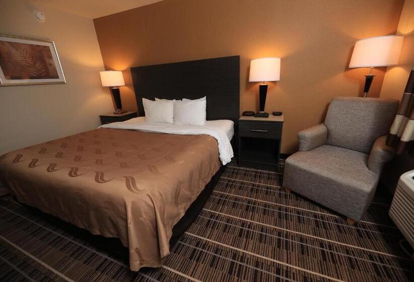 Стандартный Номер Кровать Кинг, Quality Inn Dfw Airport North