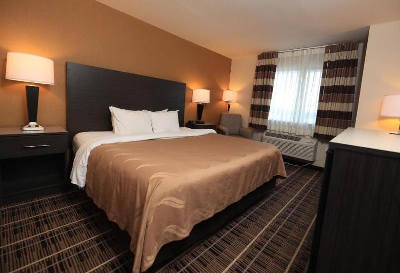 Standard Szoba King Size Bed, Quality Inn Dfw Airport North