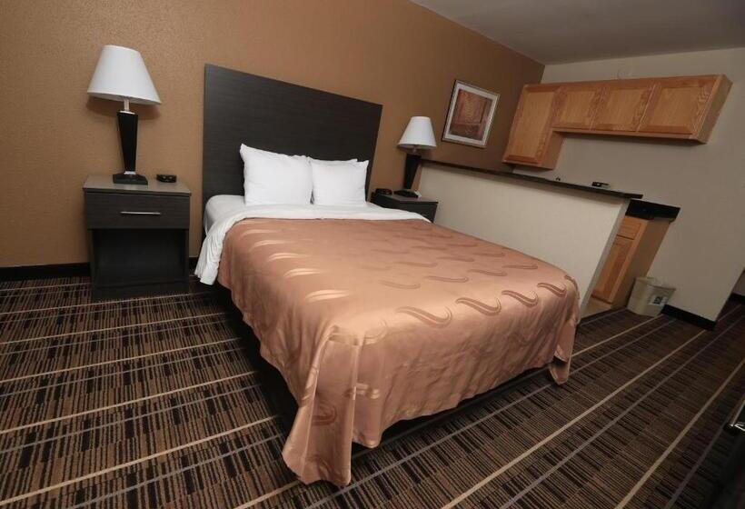 Standard Szoba King Size Bed, Quality Inn Dfw Airport North