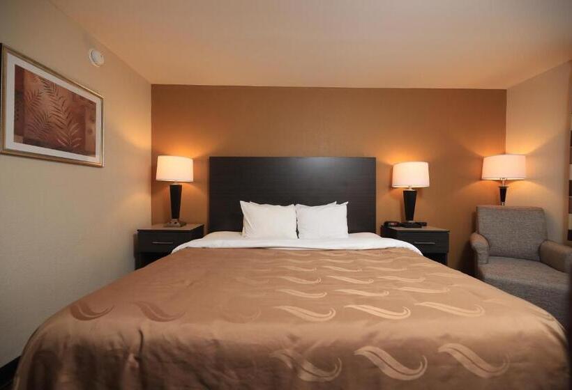 Стандартный Номер Кровать Кинг, Quality Inn Dfw Airport North