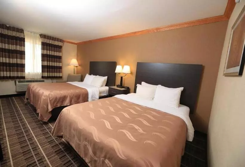 Standard-huone, Quality Inn Dfw Airport North