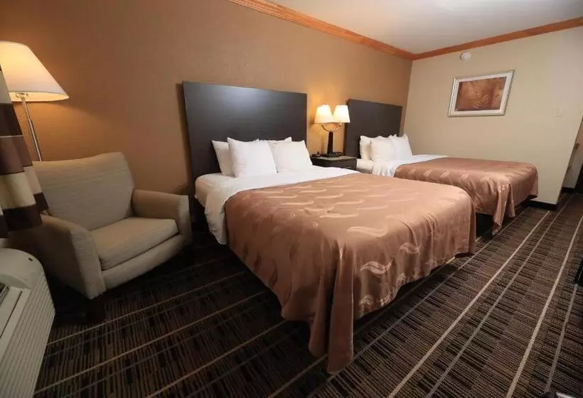 Standard-huone, Quality Inn Dfw Airport North