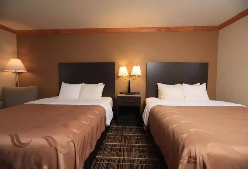 Standard-huone, Quality Inn Dfw Airport North