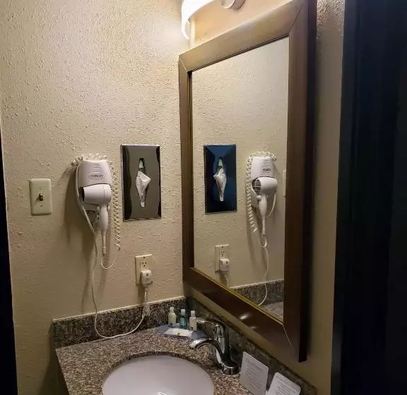 Standard-huone, Quality Inn Dfw Airport North
