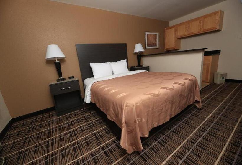 Quarto Estandar, Quality Inn Dfw Airport North