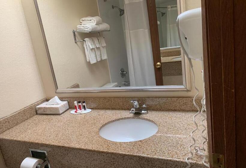 חדר דלוקס מותאם לאנשים עם מוגבלויות, Super 8 By Wyndham Beloit