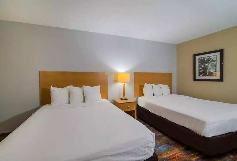 اتاق استاندارد, Americas Best Value Inn Fargo