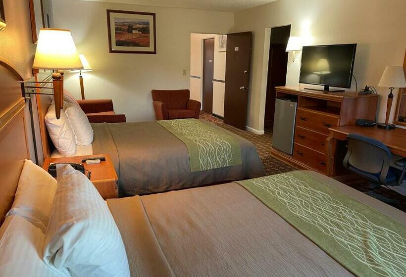 标准间, Village Inn Green Bay