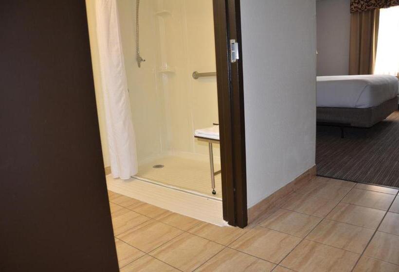 身障者適用スタンダードルーム, Radisson Hotel Schaumburg