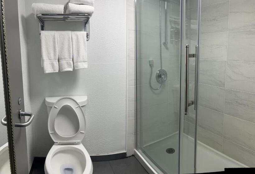 身障者適用スタンダードルーム, Radisson Hotel Schaumburg