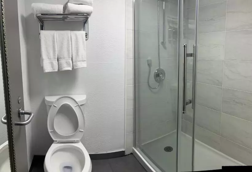 اتاق استاندارد برای معلولان, Radisson Hotel Schaumburg