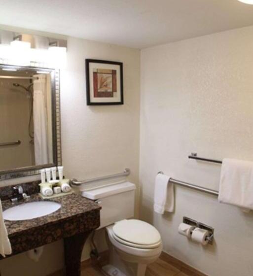 身障者適用スタンダードルーム, Radisson Hotel Schaumburg