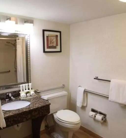 اتاق استاندارد برای معلولان, Radisson Hotel Schaumburg