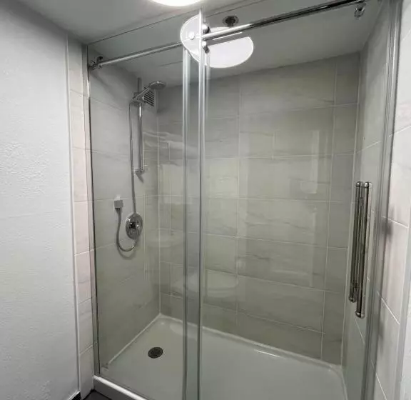 اتاق استاندارد با تخت بزرگ, Radisson Hotel Schaumburg