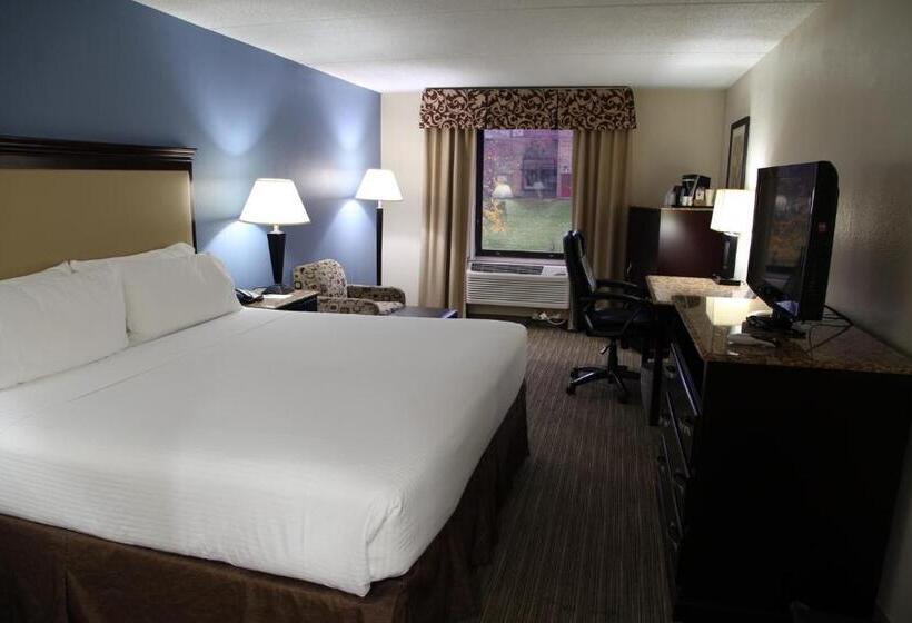 Standard Szoba King Size Bed, Radisson Hotel Schaumburg