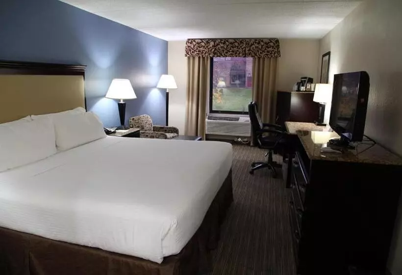 اتاق استاندارد با تخت بزرگ, Radisson Hotel Schaumburg