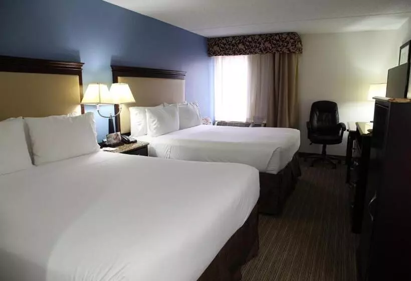 اتاق استاندارد, Radisson Hotel Schaumburg