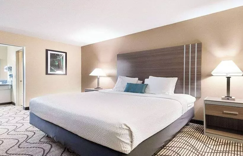 اتاق استاندارد با تخت دوبل, Surestay Plus Hotel By Best Western Sacramento North
