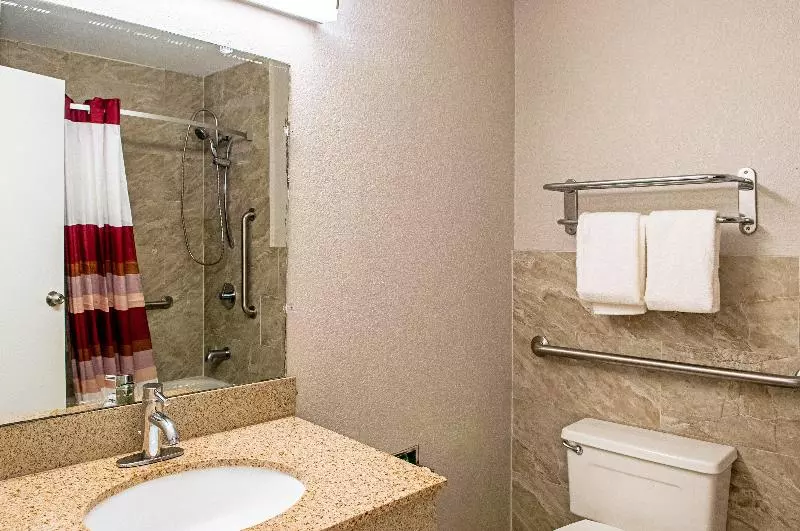 اتاق استاندارد با تخت بزرگ, Surestay Plus Hotel By Best Western Sacramento North
