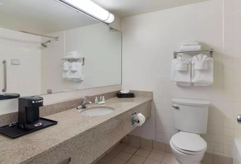 اتاق استاندارد با تخت بزرگ برای معلولان, Clarion Hotel Concord Walnut Creek