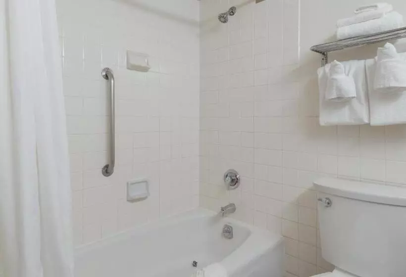 اتاق استاندارد با تخت بزرگ برای معلولان, Clarion Hotel Concord Walnut Creek