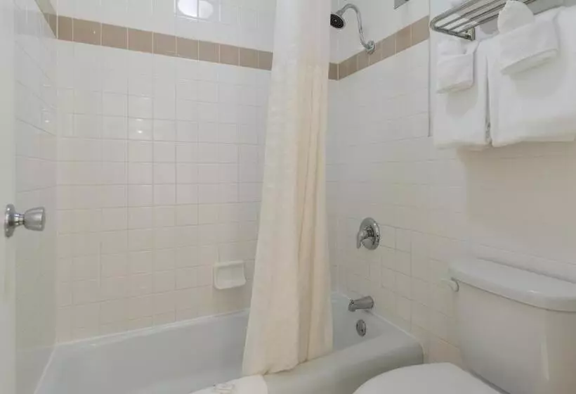 اتاق استاندارد با تخت دو نفره بزرگ برای معلولان, Clarion Hotel Concord Walnut Creek