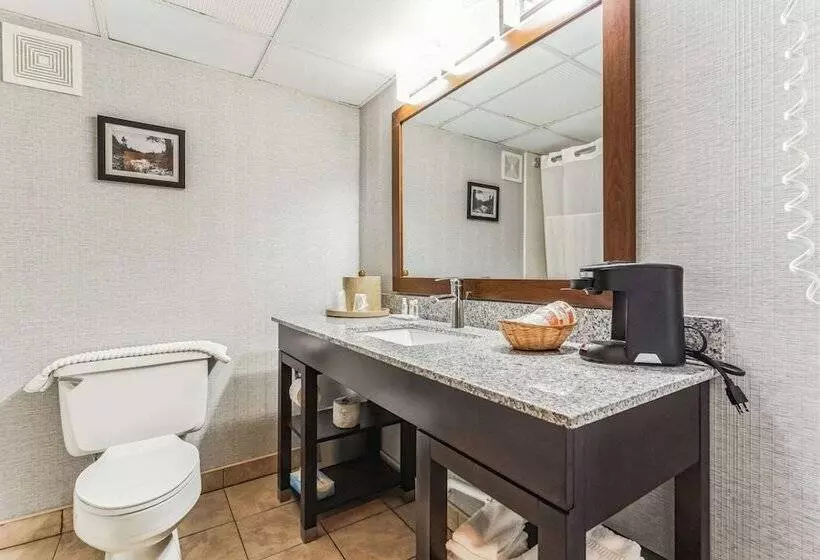 ２ダブルベッドのスタンダードルーム, Comfort Inn Grantsvilledeep Creek Lake