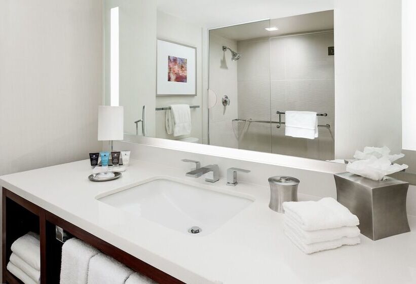 带2个双人床的标准工作室, Hyatt Regency Times Square