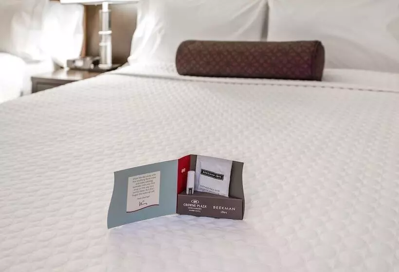 Standard-huone 2 Parivuodetta, Hyatt Regency Times Square