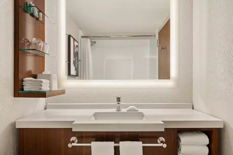 キングサイズベッドのエクゼクティブルーム, Delta Hotels By Marriott Minneapolis Northeast