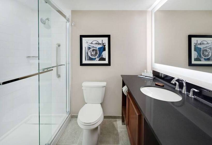 스위트, Embassy Suites By Hilton Detroit Troy Auburn Hills