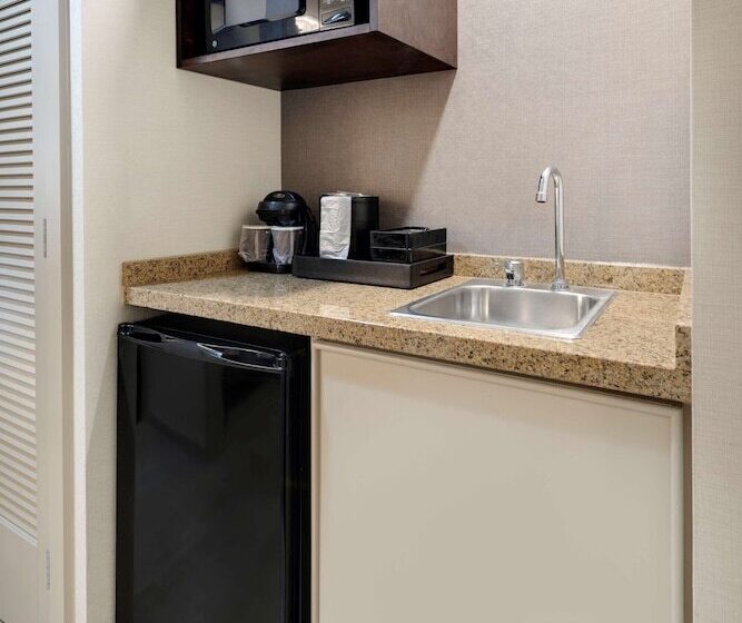 스위트, Embassy Suites By Hilton Detroit Troy Auburn Hills