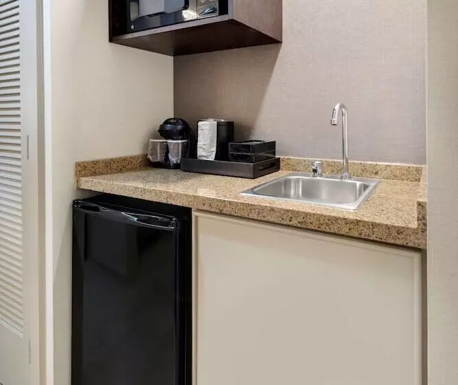 スイート, Embassy Suites By Hilton Detroit Troy Auburn Hills