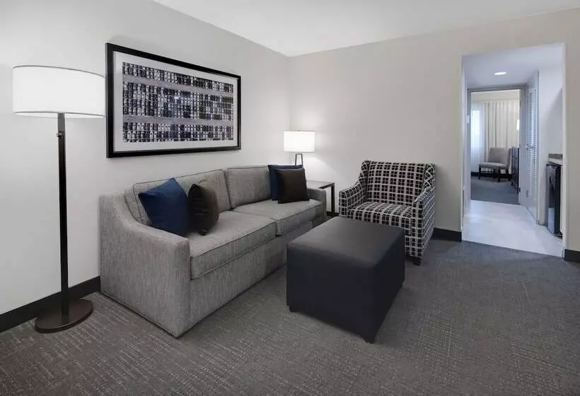 スイート, Embassy Suites By Hilton Detroit Troy Auburn Hills