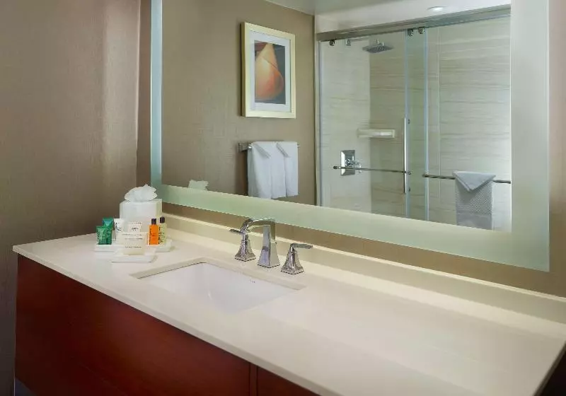 デラックスルーム, Hilton Atlanta Northeast