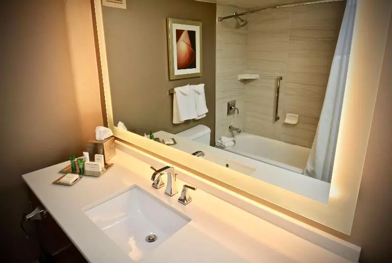 キングサイズベッドのジュニアスイート, Hilton Atlanta Northeast