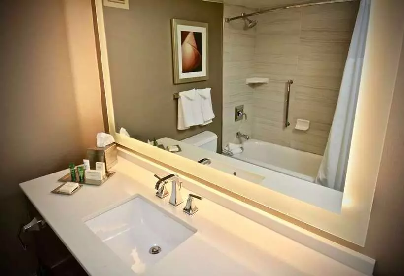 スタンダードルーム, Hilton Atlanta Northeast