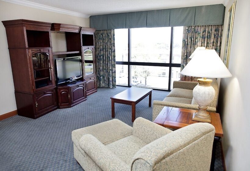 Полулюкс, Hilton Greenville