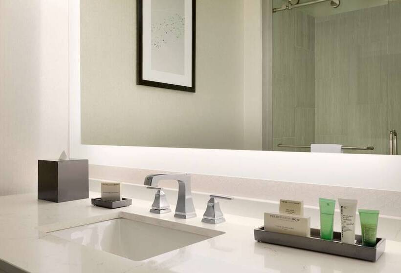 غرفة قياسية, Hilton Greenville