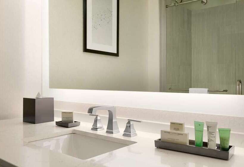 غرفة قياسية, Hilton Greenville