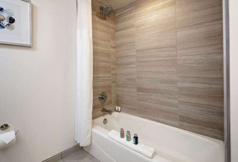 غرفة بريميوم, Hilton Greenville