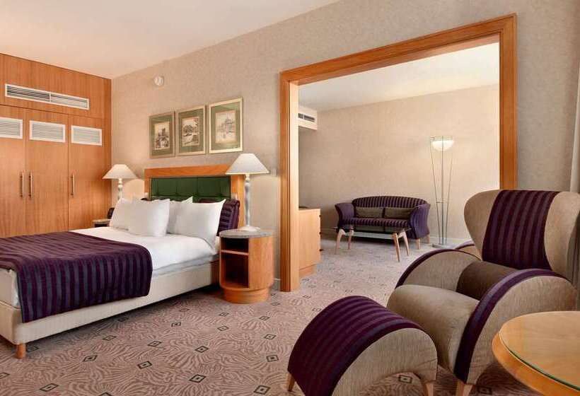 キングサイズベッドのスタンダードルーム, Hilton Phoenix Airport