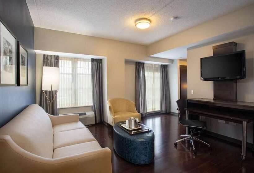 キングサイズベッドのスイートルーム, Hilton Phoenix Airport